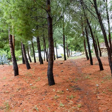 בית נופש Luxurious Holiday In Cropani Marina With Swimming Pool Badolato